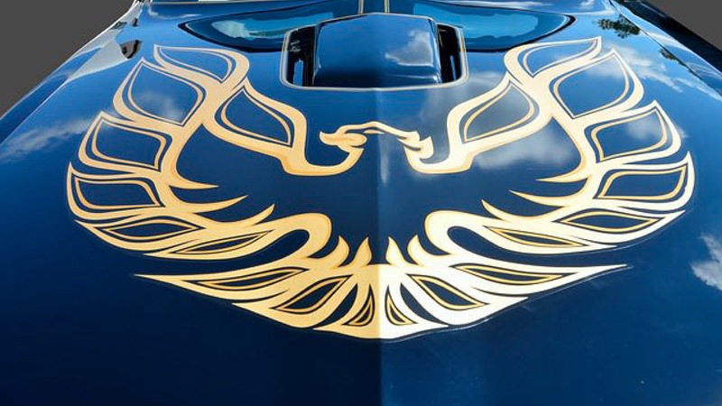 Expert Vehicle Pinstriping